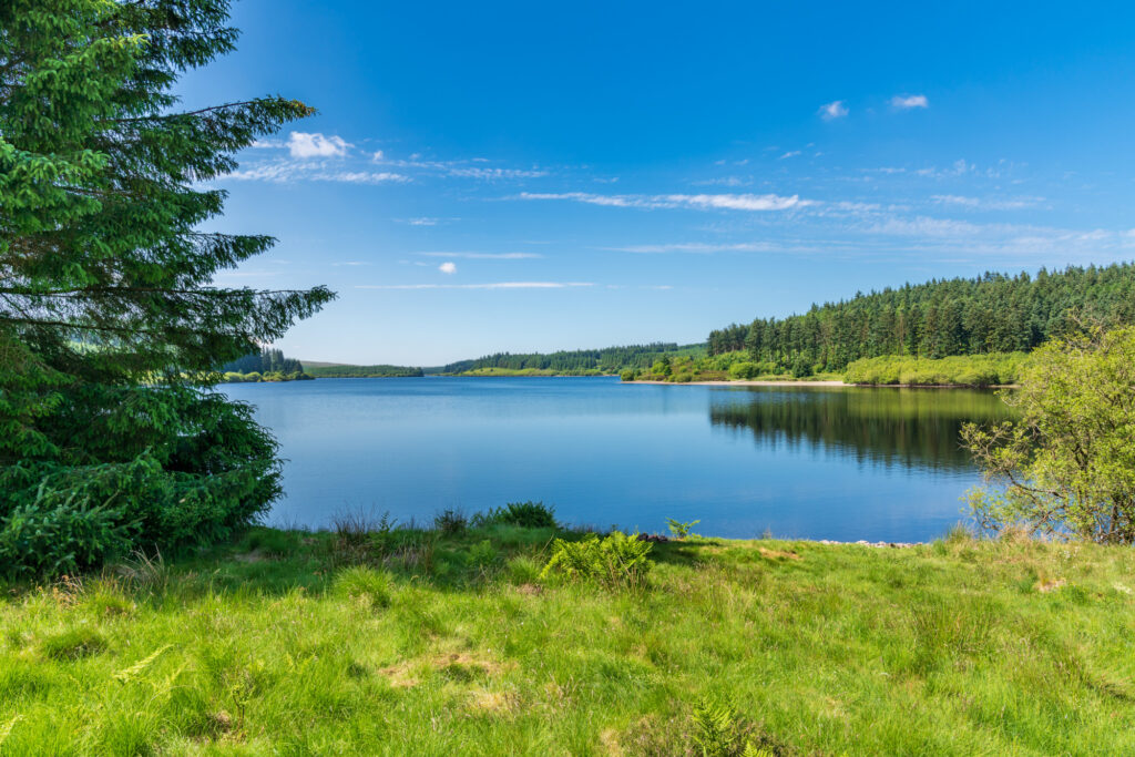 Reservoir